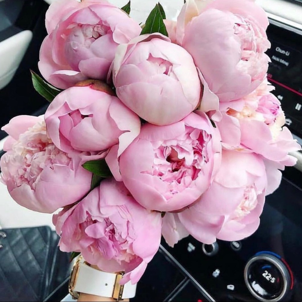 Hello! Bonjour! Welcome All Friends & Fashionistas...